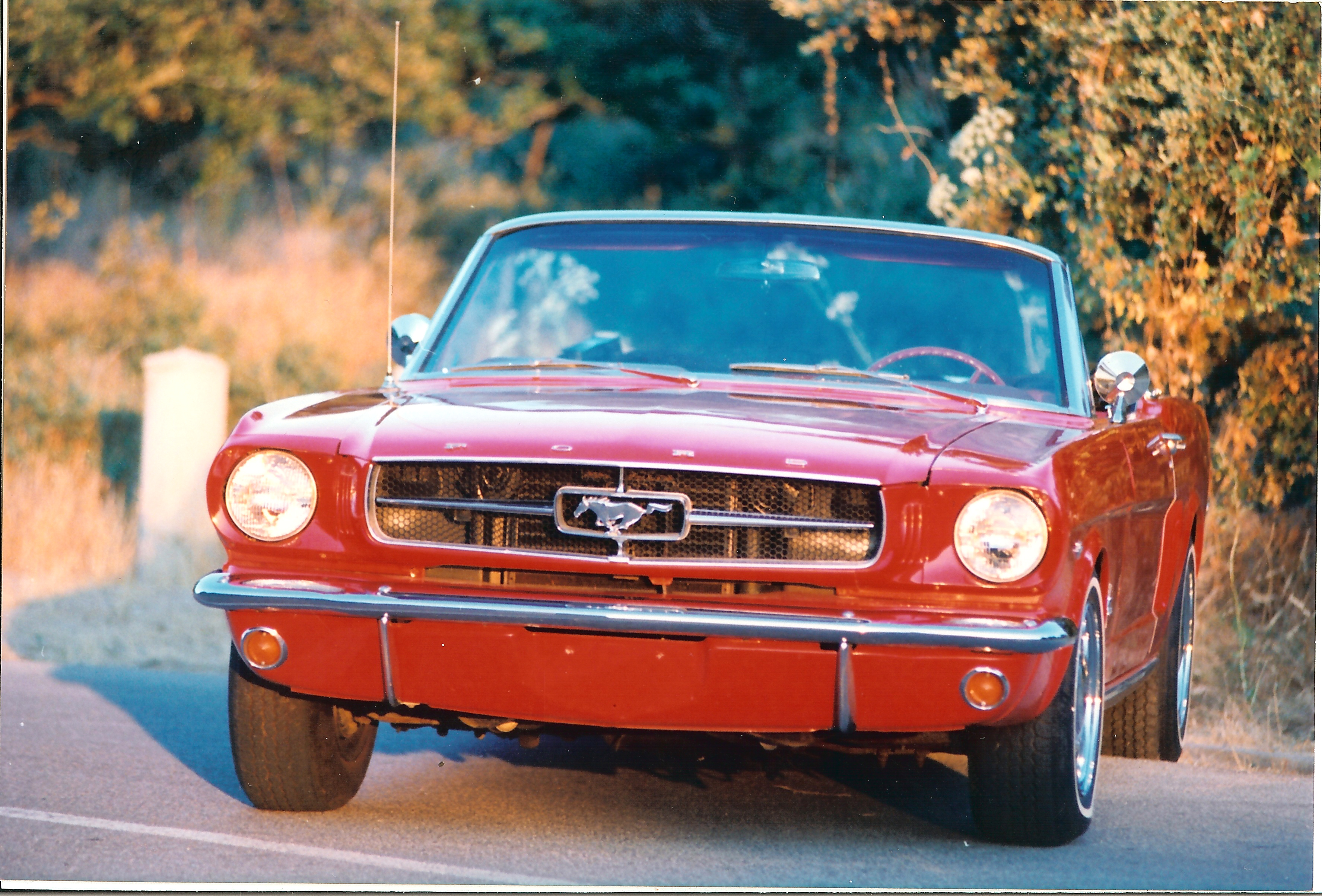 Ford Mustang Cabrio 1965 (Frontal)