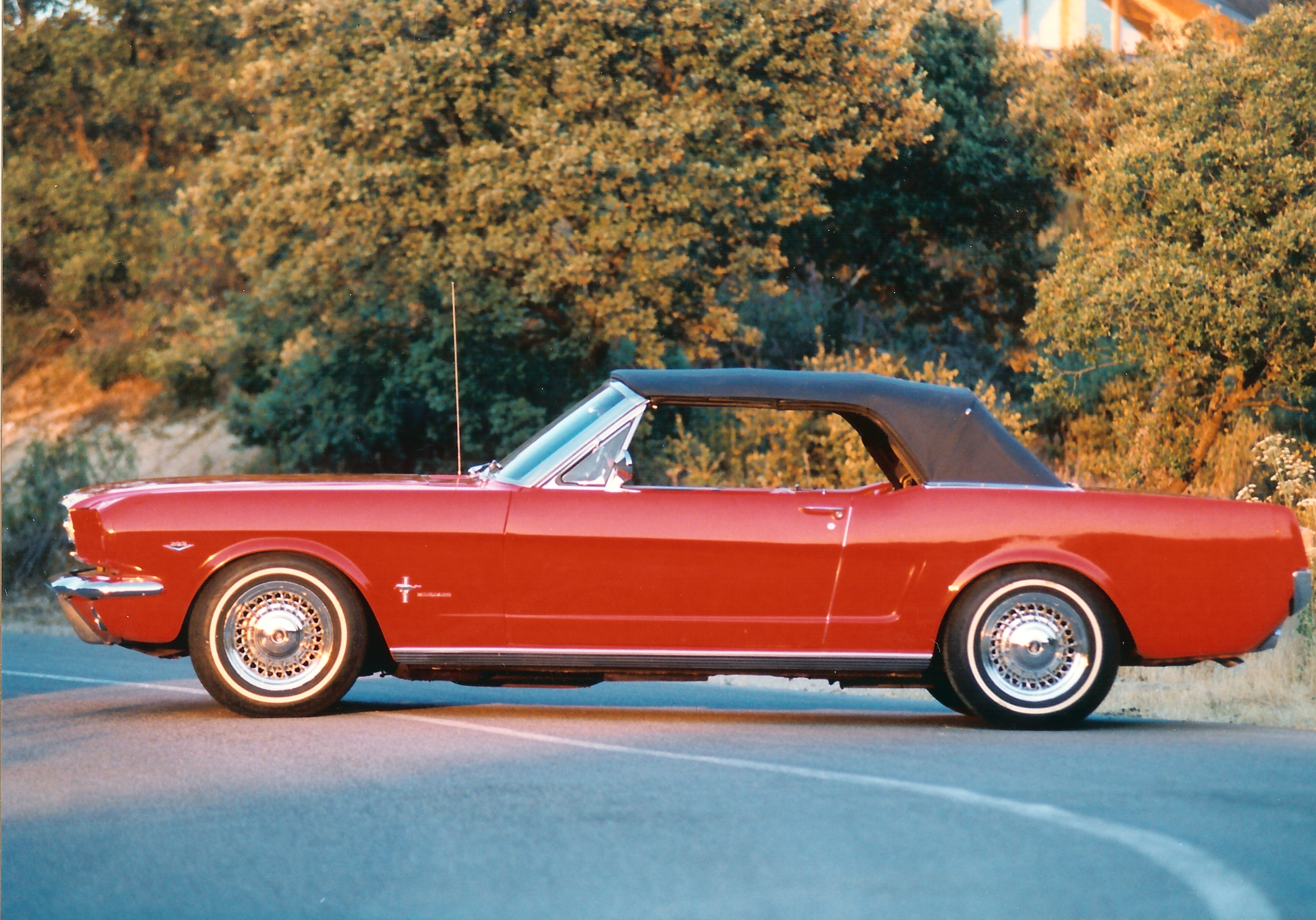 Ford Mustang Cabrio 1965 (Lateral)