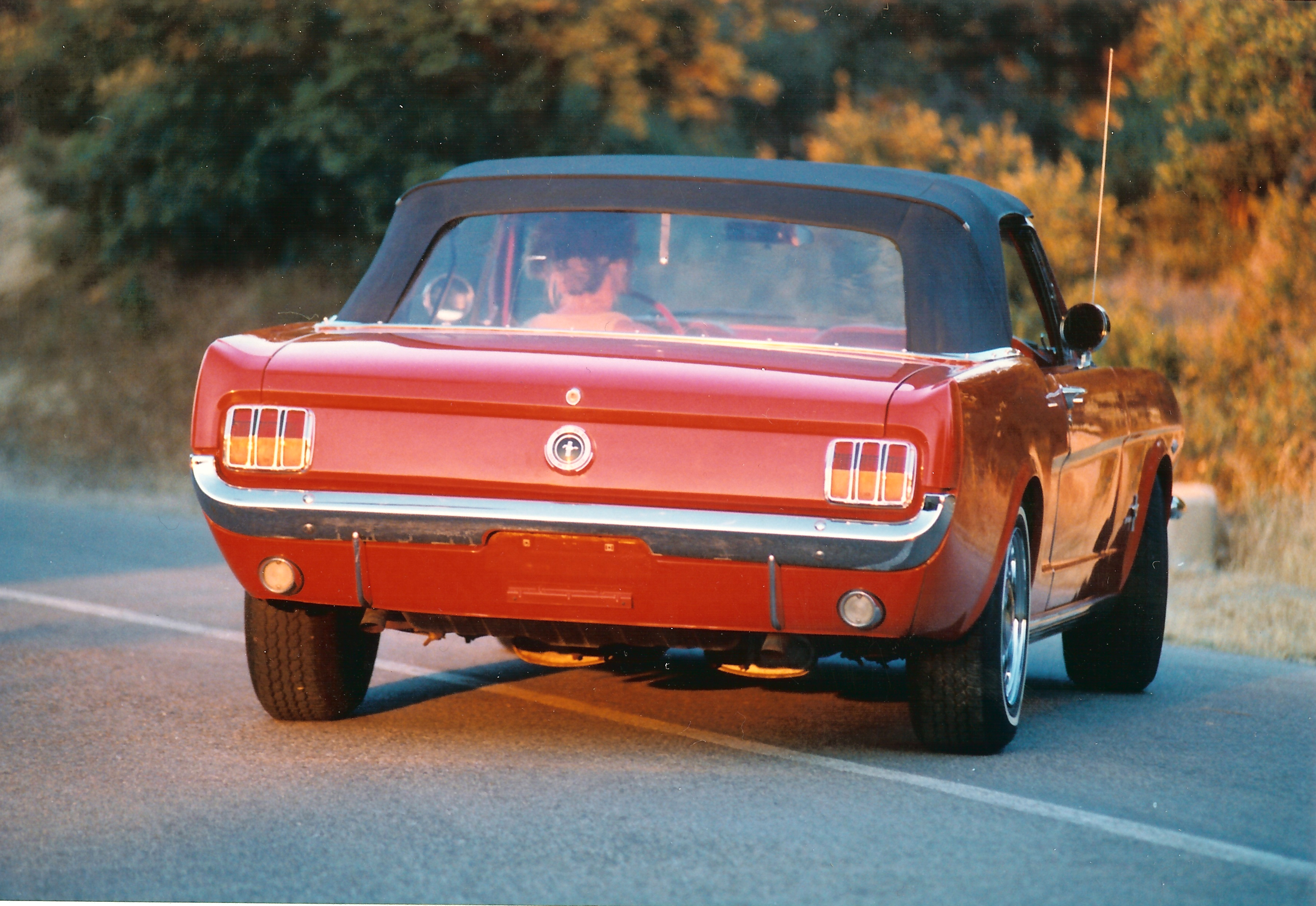 Ford Mustang Cabrio 1965 (Trasero)