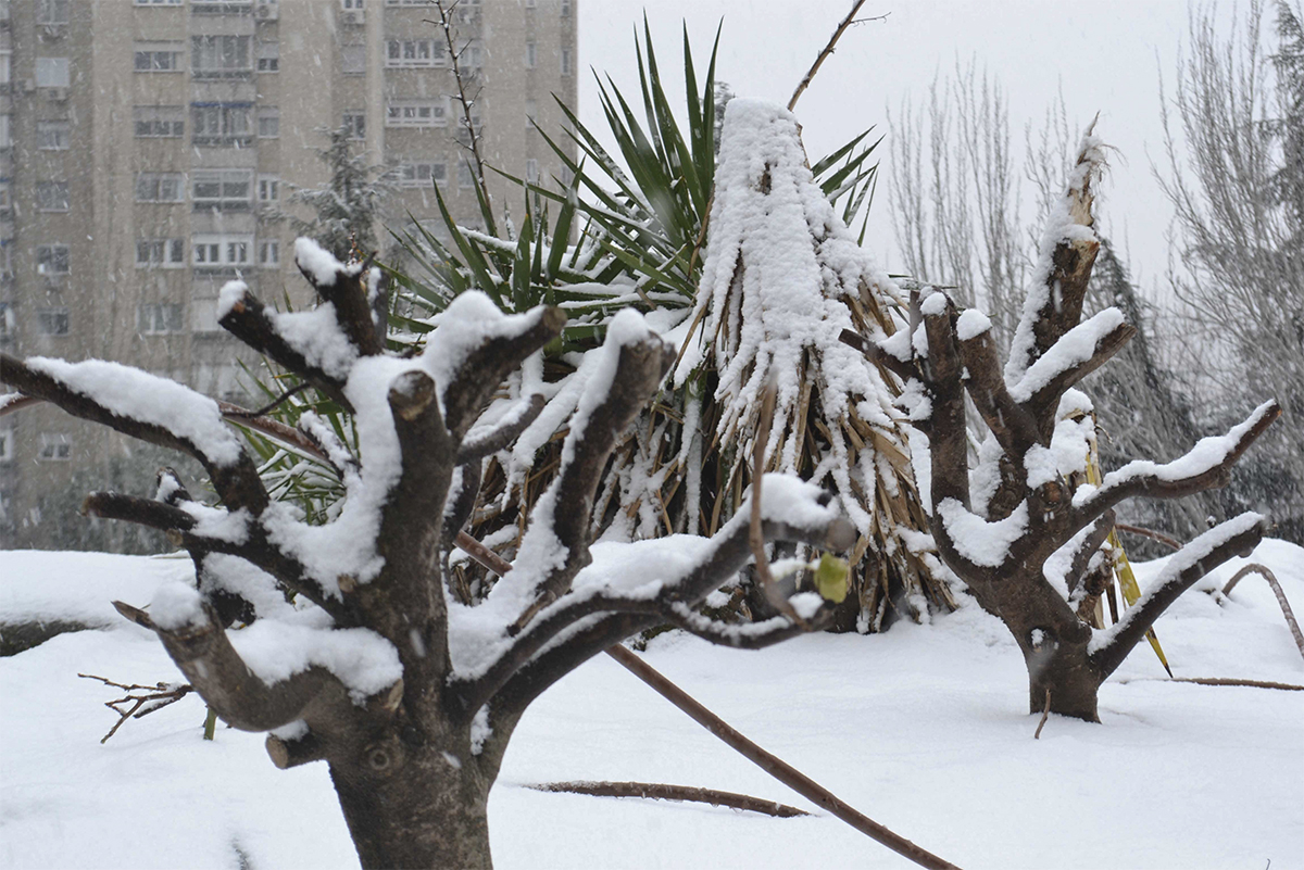 Fotografía tomada en invierno en Madrid