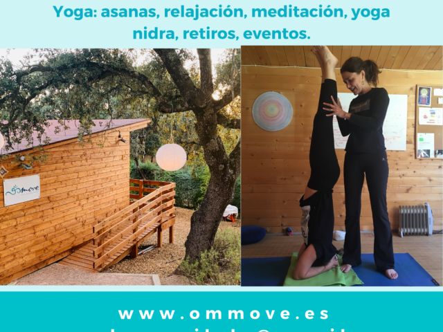 OM MOVE YOGA Y TERAPIAS