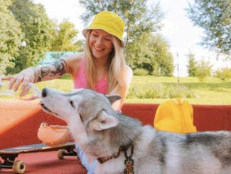 Alimentación para los perros